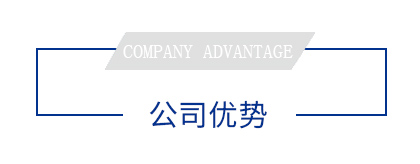 公司優勢